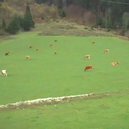 Turisticna Kmetija Pr Mark Gospodarstwo agroturystyczne *